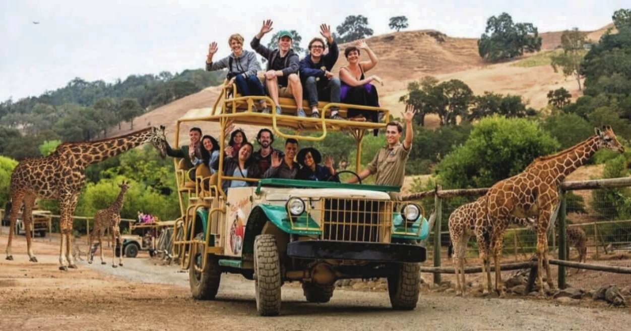 Safari-Park Jeep-Tour -Wine